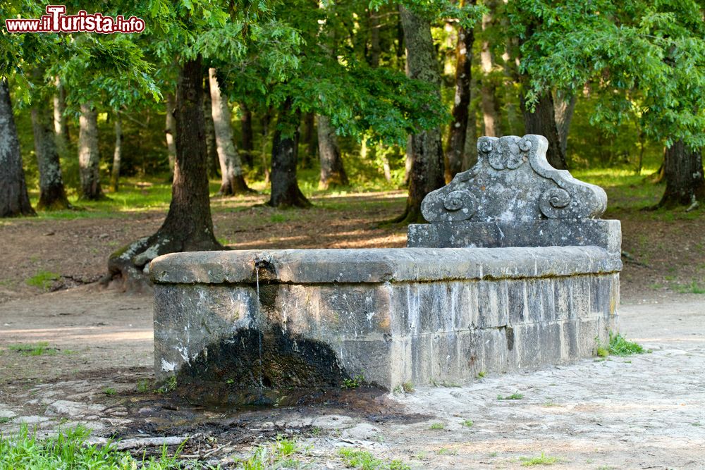 Immagine Una fontana in un parco di Manziana nel Lazio