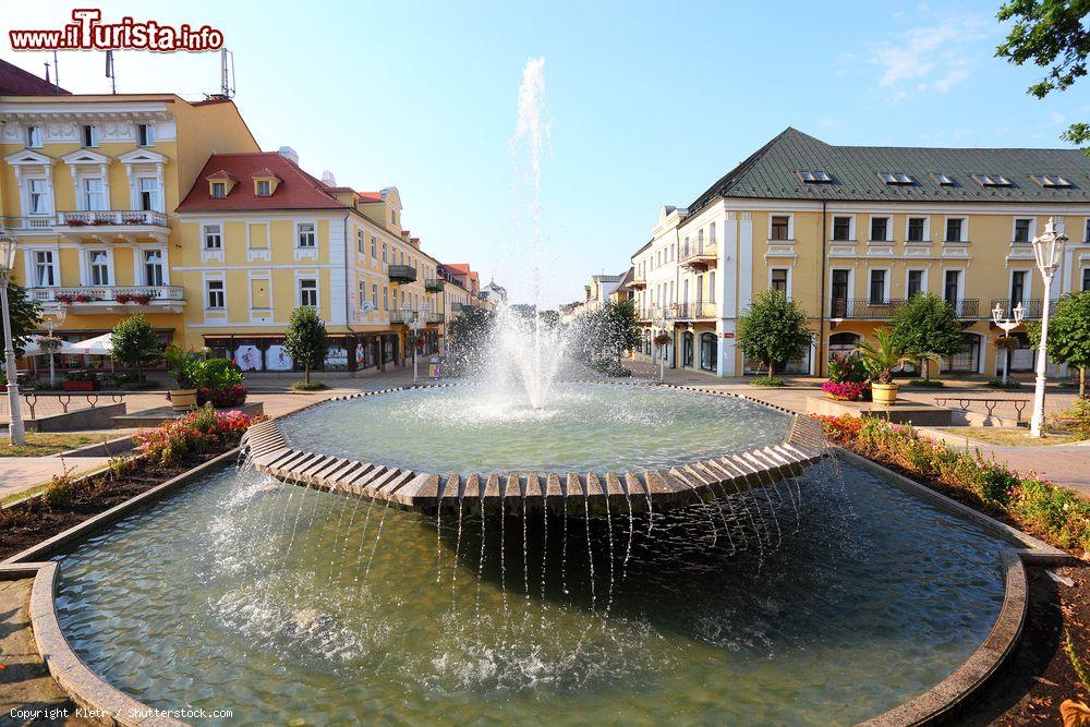 Immagine Una fontana nel centro di Frantiskovy Lazne, Repubblica Ceca - © Kletr / Shutterstock.com