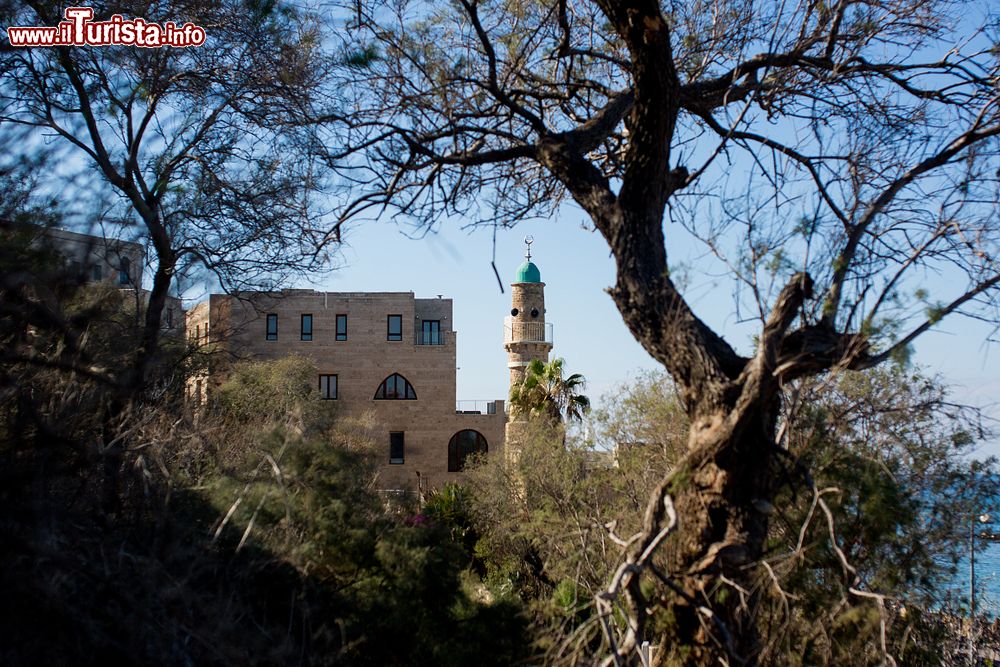 Immagine Una giornata estiva nella città di tel Aviv, vicino a Jaffa, Israele. Ogni anno Tel Aviv accoglie oltre un milione di visitatori provenienti da tutto il mondo.
