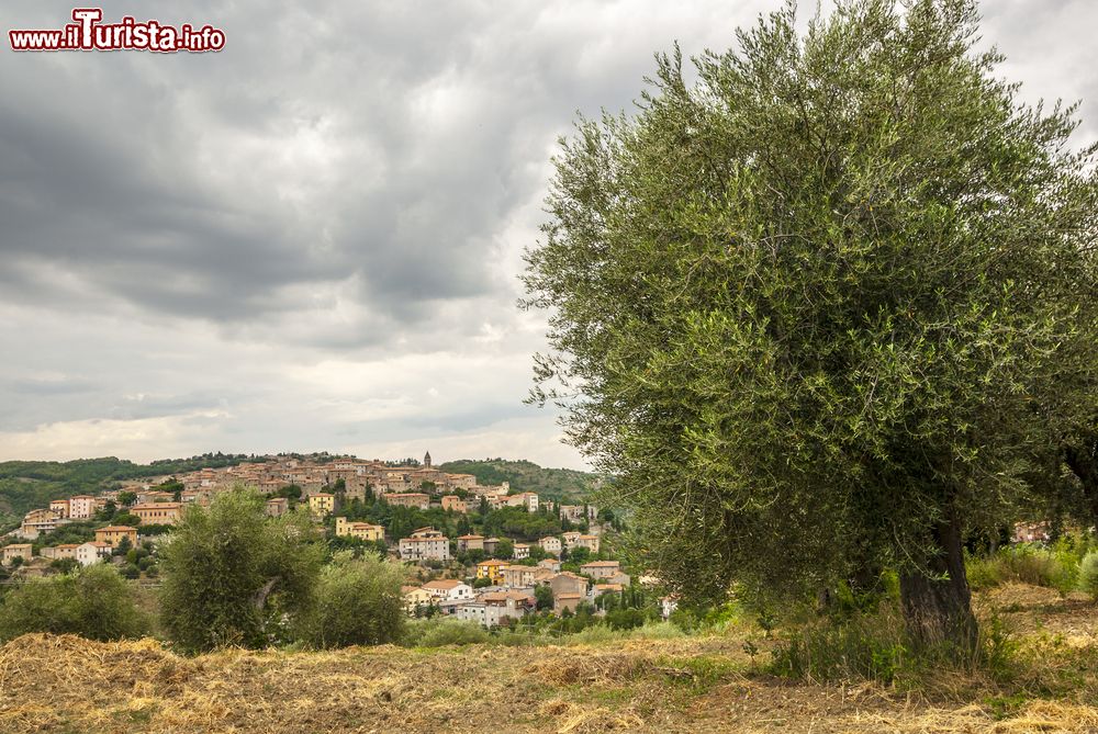 Immagine Una giornata grigia al borgo di Seggiano in provincia di Grosseto