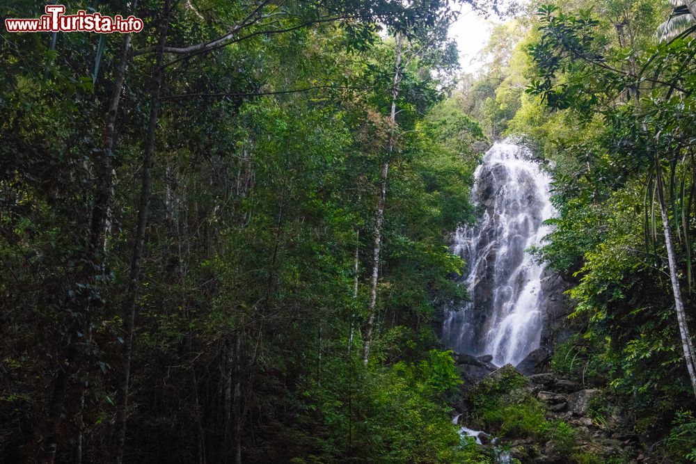 Immagine Una grande cascata nella giungla tropicale dell'isola di Pha Ngan, Thailandia.