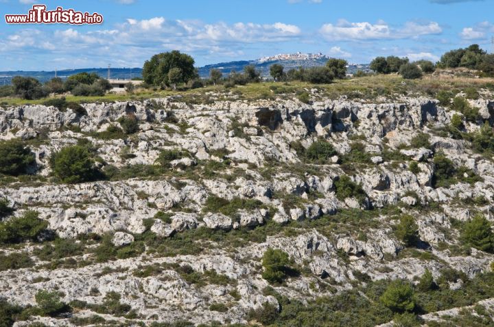 Immagine Una gravina in Puglia e il borgo di Massafra in lontananza, Puglia - Uno dei canyon che caratterizza il territorio di Massafra, borgo che si estende dalla Murgia tarantina sino al mar Ionio. In questa immagine si possono osservare gravine e lame di origine carsica © Mi.Ti. / Shutterstock.com