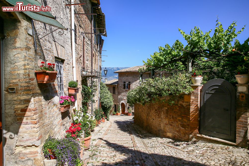 Immagine Una graziosa casa in mattoni con fiori nel cuore di Montefalco, Umbria.