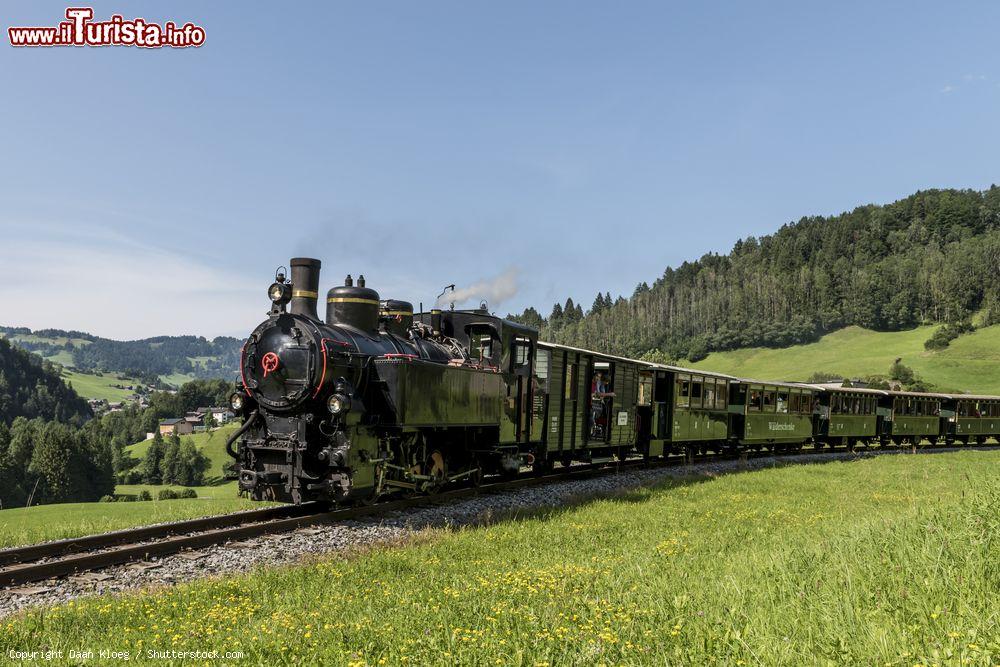 Immagine Una locomotiva a vapore della Bregenzerwaldbahn, tra le montagne dela Bregenzerwald, in  Austria. - © Daan Kloeg / Shutterstock.com