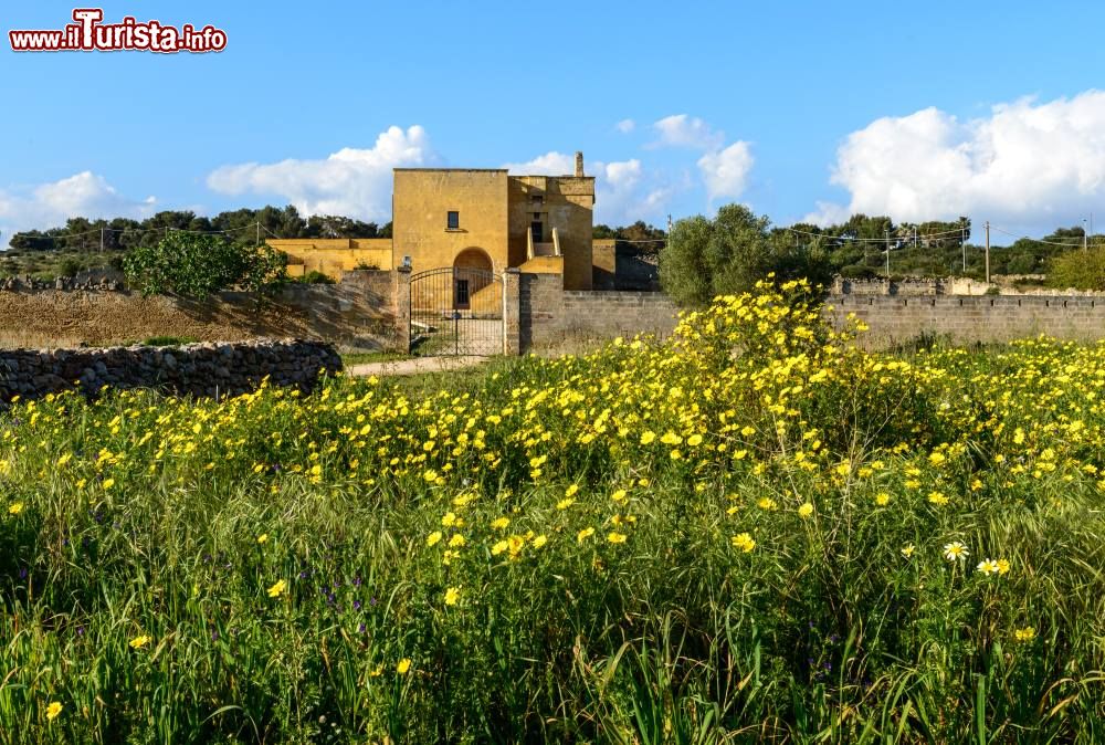 Immagine Una Masseria del Salento a San Pietro in Bevagna in Puglia
