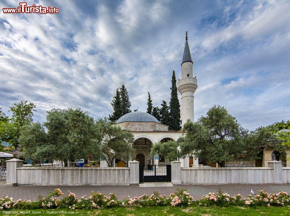 Immagine Una moschea nel villaggio di Dalyan, Turchia - © Nejdet Duzen / Shutterstock.com