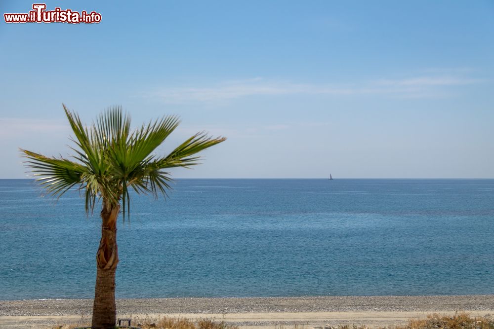 Immagine Una palma sul mare limpido di Bova Marina in Calabria