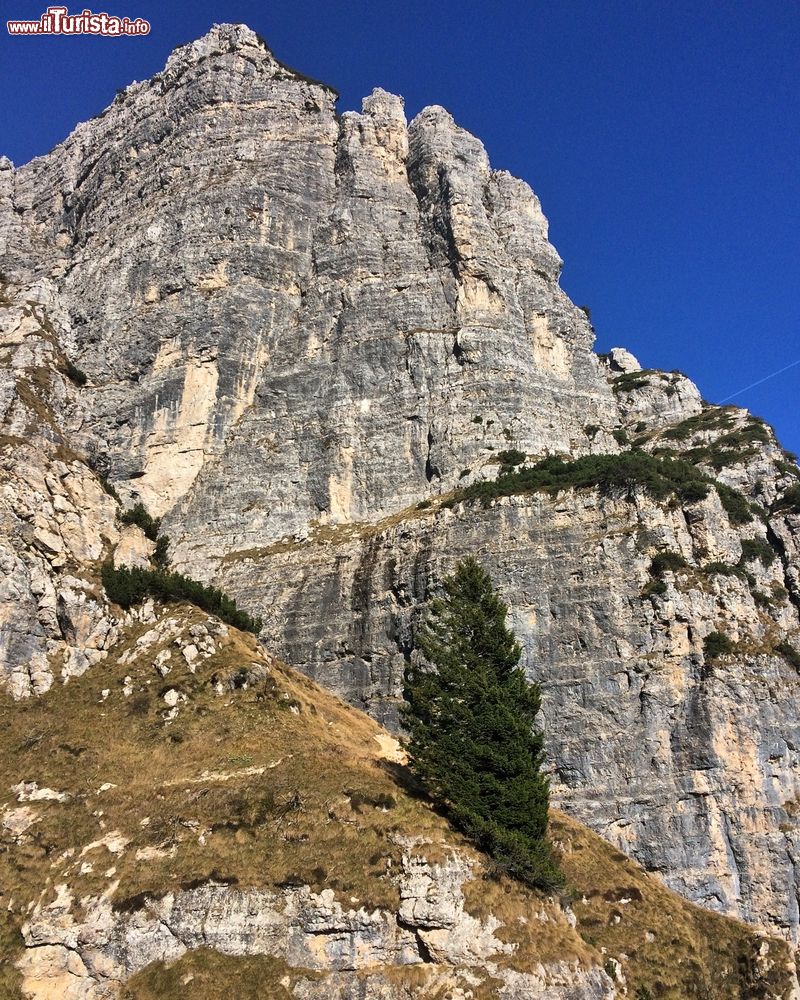 Immagine Una parete rocciosa sulle Dolomiti a Recoaro Terme, Veneto, fotografata con il sole.