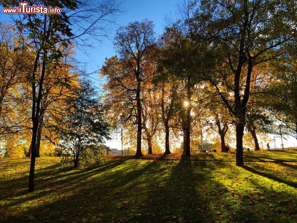 Immagine Una passeggiata nella natura nei dintorni di Vichy, Francia, in una giornata d'autunno.