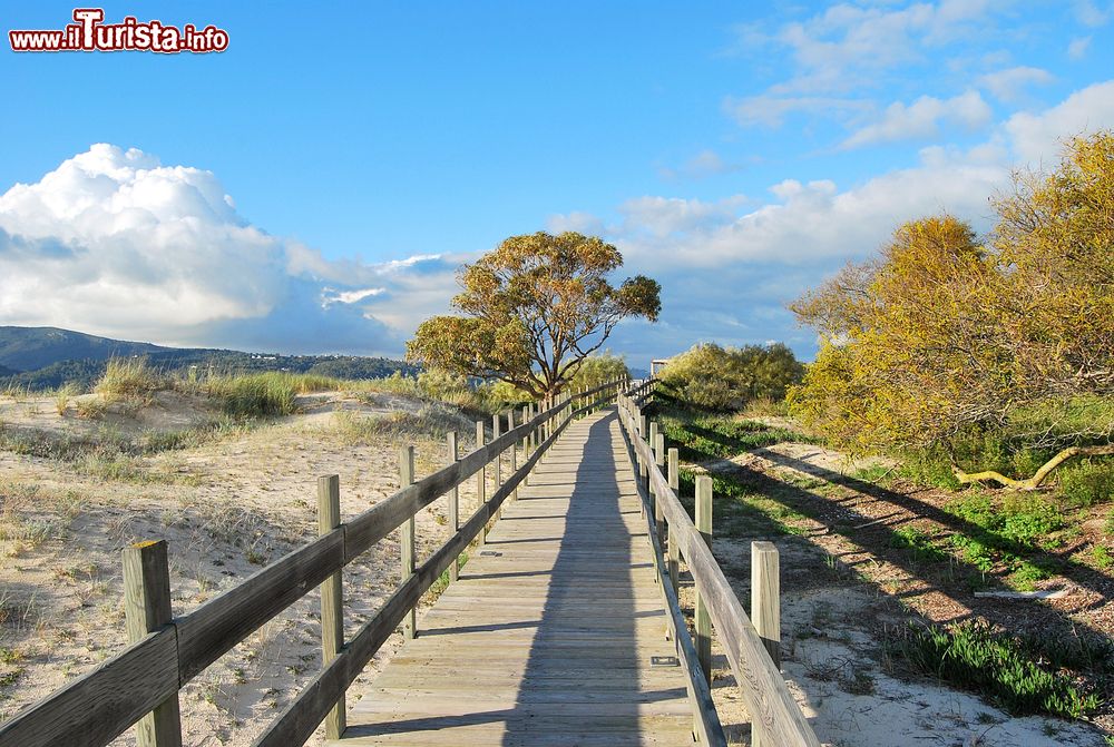 Immagine Una passerella in legno per raggiungere la spiaggia a Troia, Portogallo. Sia in inverno che in estate, il clima mite permette di trascorrere piacevoli giornate in spiaggia: con il mare di fronte al litorale sabbioso e le pinete alle spalle, questa località è perfetta per tutti.