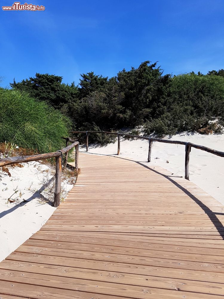 Immagine Una passerella in legno per raggiungere la spiaggia Le Saline di Calasetta, Sardegna.