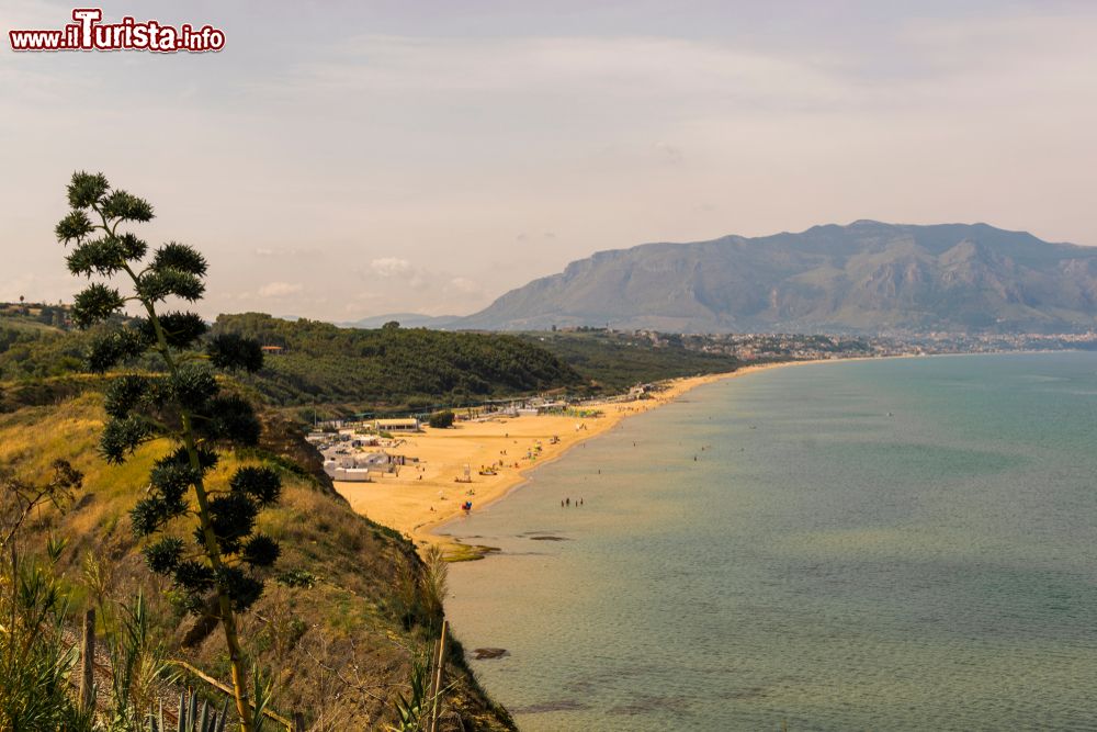 Immagine Una pianta di Agave e la bella vista della costa di Balestrate in Sicilia