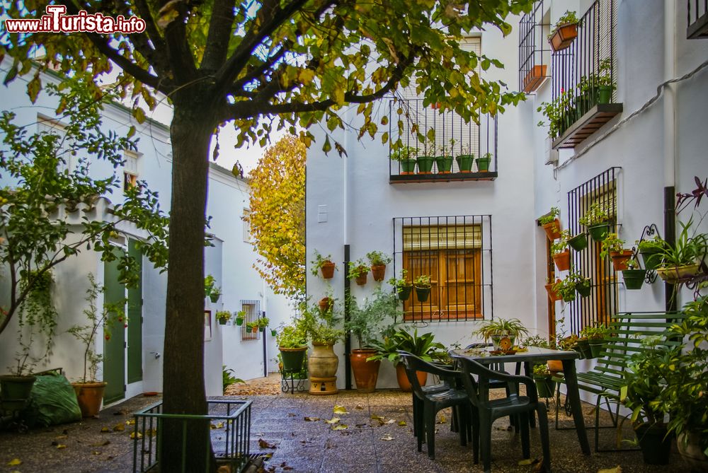 Immagine Una piazzetta con abitazioni nel cuore di Priego de Cordoba, Spagna. Questa città è una delle tappe obbligatorie del Percorso del Califfato che consente ai turisti di scoprire la terra andalusa fra Granada e Cordoba.