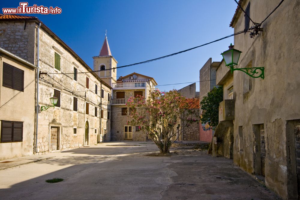 Immagine Una piazzetta nel centro antico di Pirovac (Slosella) con una pianta fiorita, Croazia.