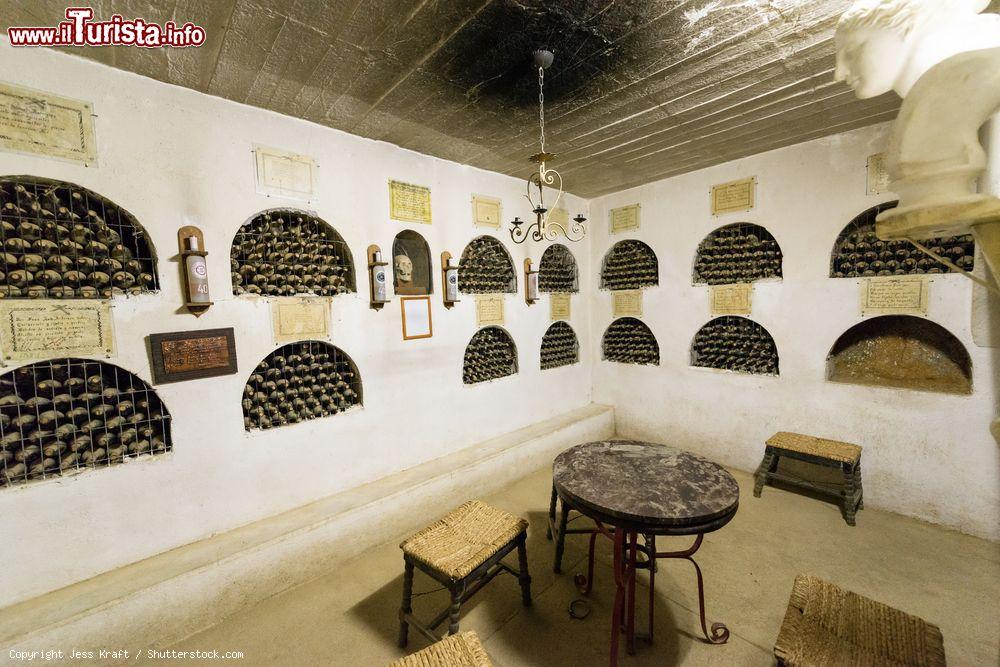 Immagine Una piccola cantina in una fabbrica di liquore pisco nei pressi di Pisco Elqui, Cile - © Jess Kraft / Shutterstock.com