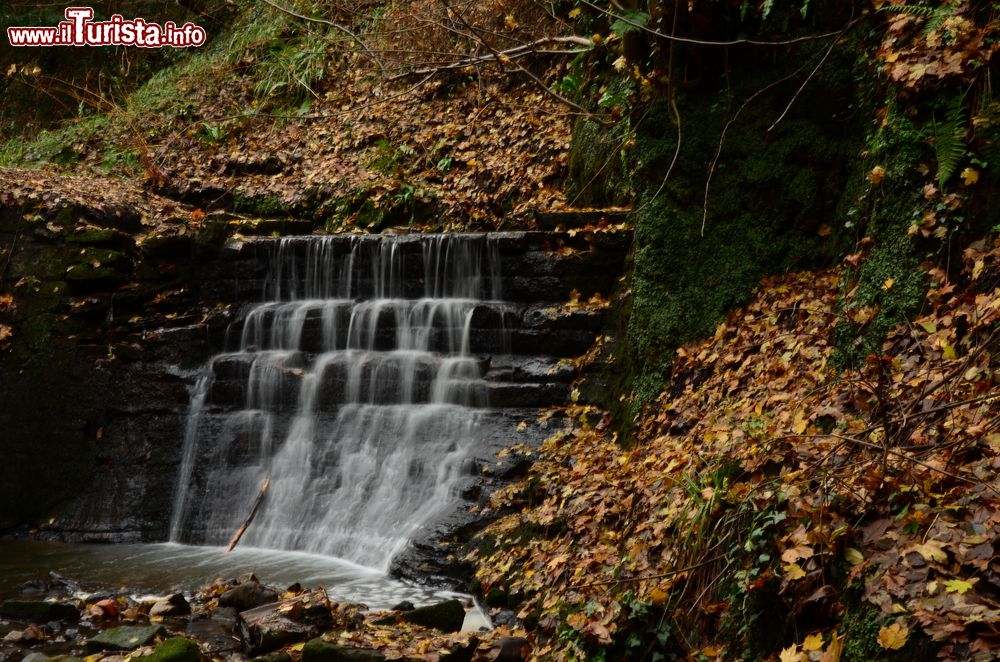 Immagine Una piccola cascata a Dunfermline, Scozia, UK. A fare da cornice è uno splendido paesaggio autunnale.