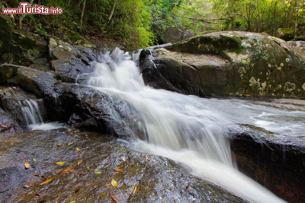 Immagine Una piccola cascata nel lago Peri a Florianopolis, Brasile: le foglie si presentano con foliage autunnale.