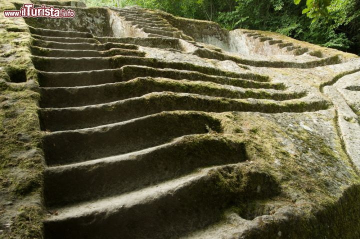 Immagine Una piramide etrusca nel bosco di Bomarzo