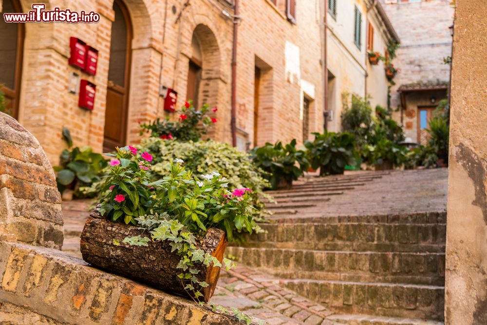 Immagine Una pittoresca scalinata del centro storico di Recanati, Marche, con decorazioni floreali.