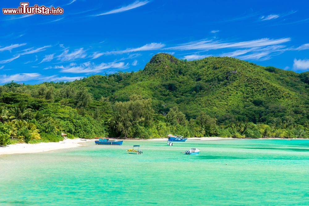 Immagine Una pittoresca spiaggia tropicale a La Mouche, isola di Mahé, Seychelles. Lunga e ampia e orlata da palme, questa spiaggia si trova sulla costa occidentale dell'isola.