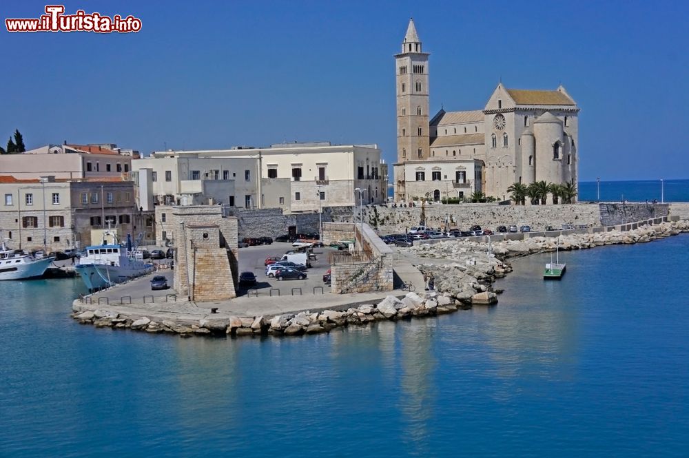 Immagine Una pittoresca veduta dall'alto di Trani con la cattedrale, il campanile e il porto cittadino (Puglia).
Siamo sulla costa adriatica, 42 km a nord di Bari.