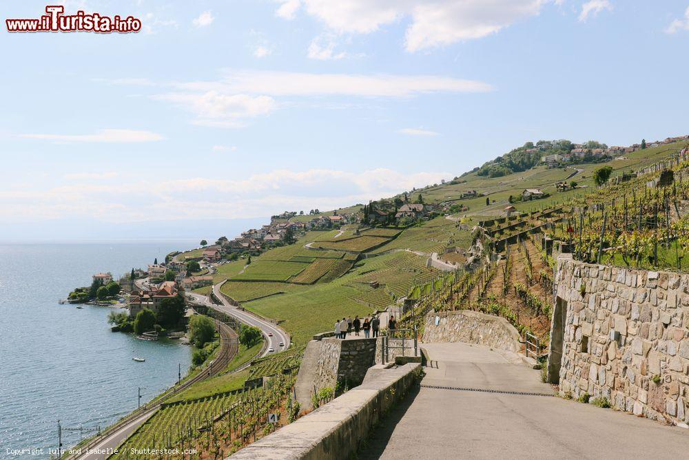 Immagine Una pittoresca veduta dei vigneti terrazzati di Lavaux, Svizzera. Patrimonio mondiale dell'Unesco dal 2007, questo territorio coltivato a vigneti si estende su una superficie di 830 ettari  - © lulu and isabelle / Shutterstock.com