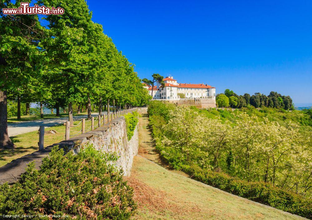 Immagine La strada che da Caravino conduce al Castello di Masino in Piemonte - © tennis / Shutterstock.com