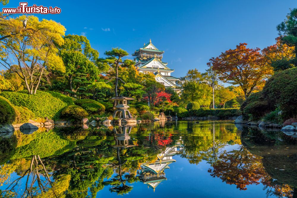 Immagine Una pittoresca veduta del castello di Osaka con i colori dell'autunno, Giappone. Inaugurato nel 1598, questo splendido maniero nipponico ha svolto un ruolo fondamentale nell'unificazione del paese nel XVI° secolo.