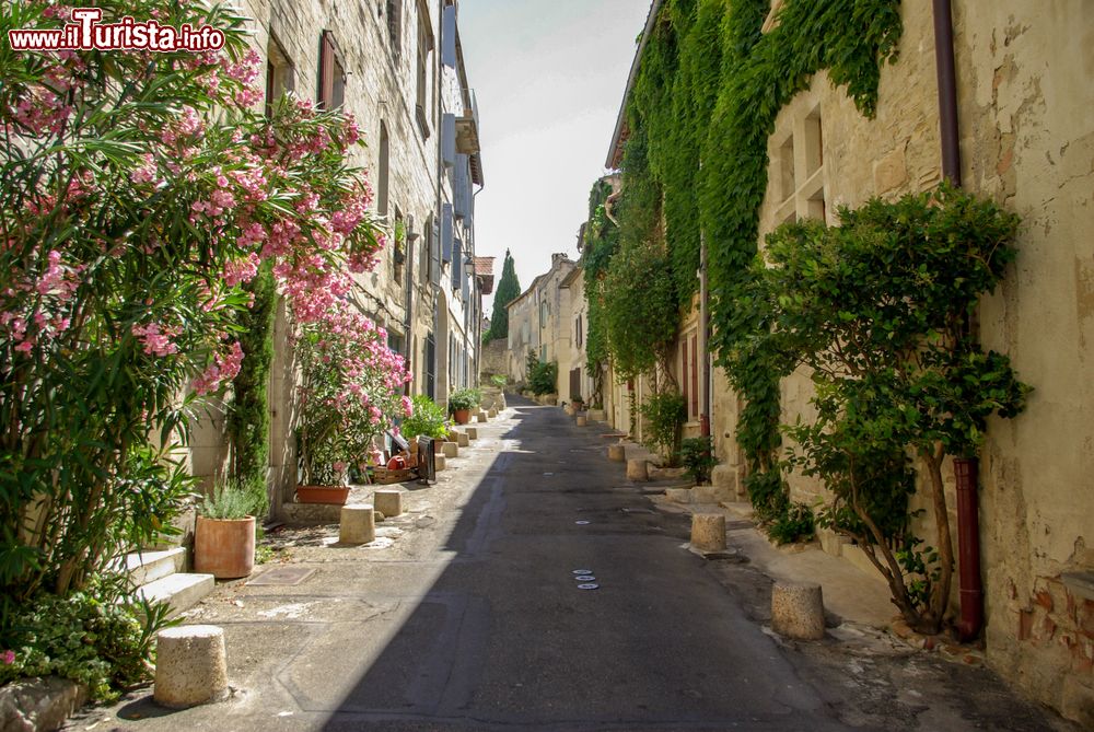 Immagine Una pittoresca veduta del centro storico di Villeneuve-les-Avignon (Francia) con fiori e piante.