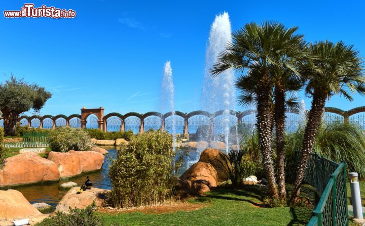 Immagine Una pittoresca veduta del giardino di Marina d'Or a Oropesa del Mar, Spagna. Qui si possono ammirare specie animali e oltre 50 varietà di fiori - © Alex Tihonovs / Shutterstock.com