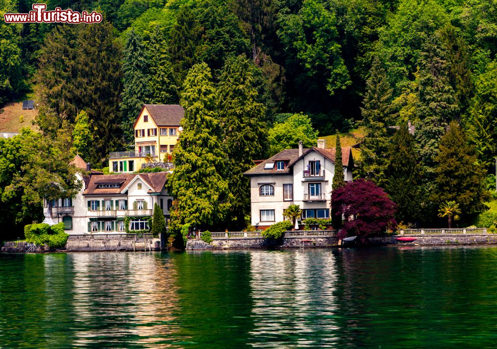 Immagine Una pittoresca veduta delle ville sul lago di Lucerna, Vitznau, Svizzera.