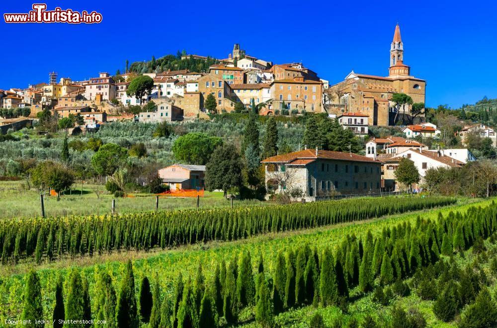 Immagine Una pittoresca veduta di Castiglion Fiorentino, provincia di Arezzo, Toscana. La cittadina sorge su un colle a 342 metri sul livello del mare, 17 km a sud-est di Arezzo. Il territorio si estende in parte sulla Valdichiana e sulle alture limitrofe e in parte nei pressi del torrente San Chimento - © leoks / Shutterstock.com