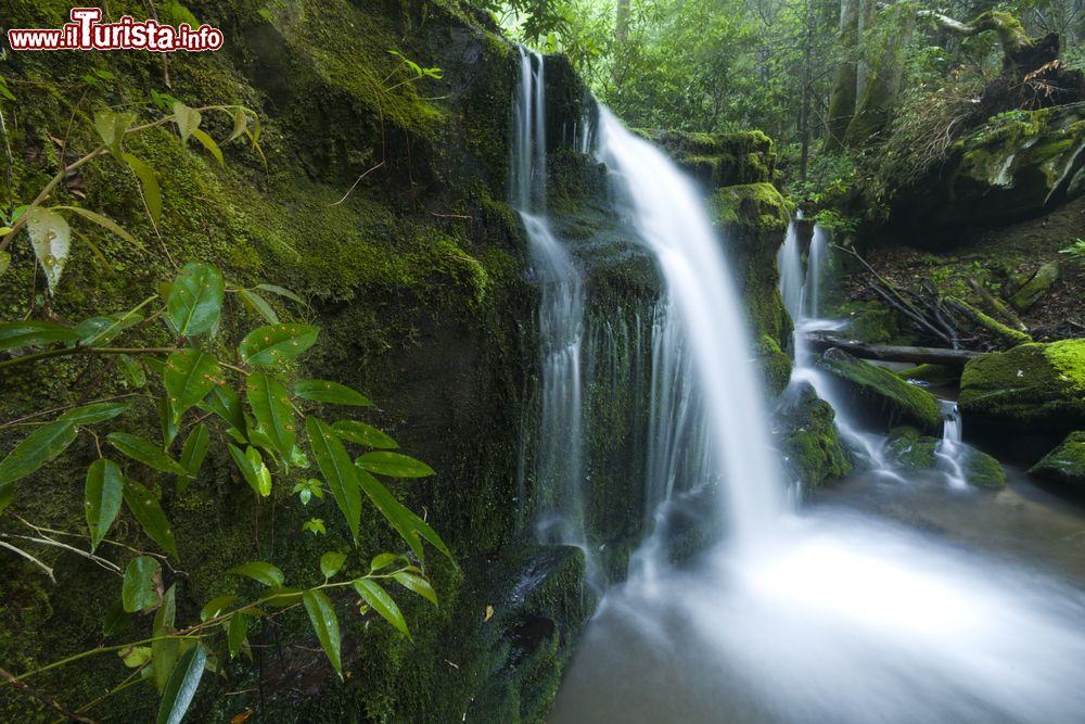 Immagine Una pitttoresca cascata a Greenbrier, Great Smoky Mountains National Park, Tennessee e Carolina del Nord (USA).