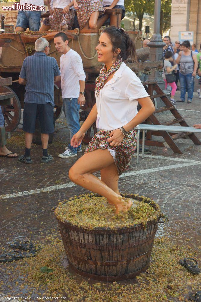 Immagine Una scena della Sagra del Vino di Cotignola: la pigiatura delle uve del trebbiano (Emilia Romagna) - © ermess / Shutterstock.com