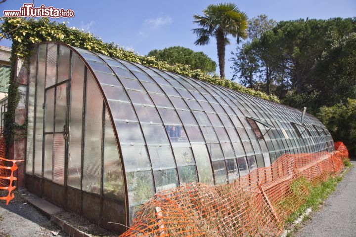 Immagine Una serra per la floricoltura a Sanremo - Sanremo, splendida cittadina marinara della costa occidentale ligure, è conosciuta principalmente per essere la sede del Festival della Canzone Italiana, per il magnifico Casinò e per essere la bellissima "città dei fiori", titolo dedicato alla grande e diffusa attività di floricoltura che viene qui praticata e celebrata con il "Sanremo in Fiore" - © Davide69 / Shutterstock.com