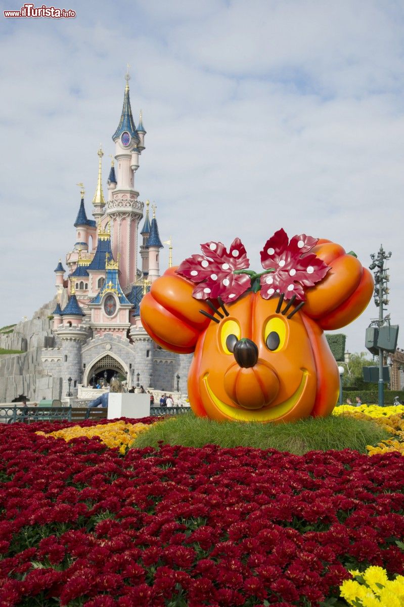 Immagine Una simpatica zucca con le sembianze di Minnie durante il periodo di Halloween a Disneyland Paris - © news.disneylandparis.com