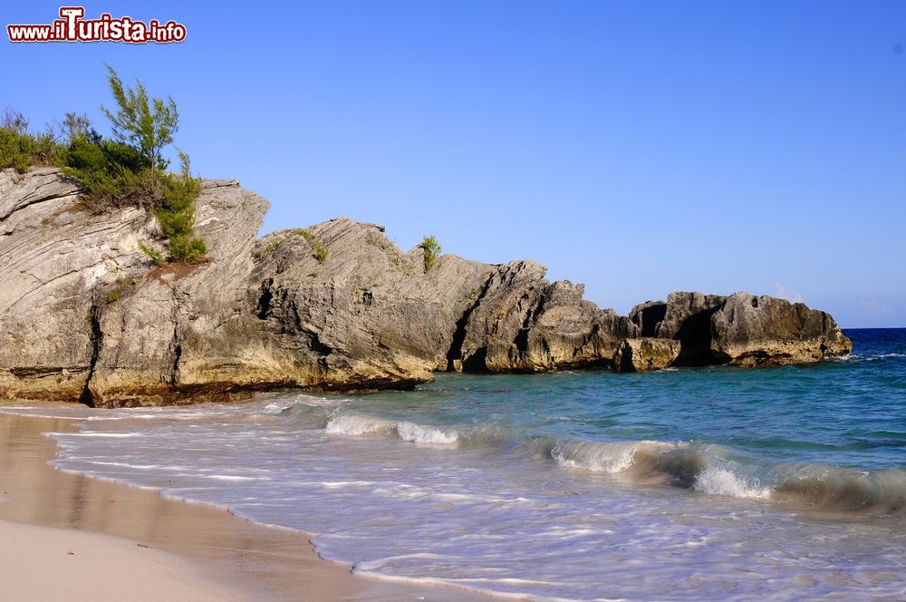 Immagine Una spiaggia a Bermuda durante una calda giornata estiva, Nord America. Alcuni tratti della costa presentano una sabbia quasi rosata.