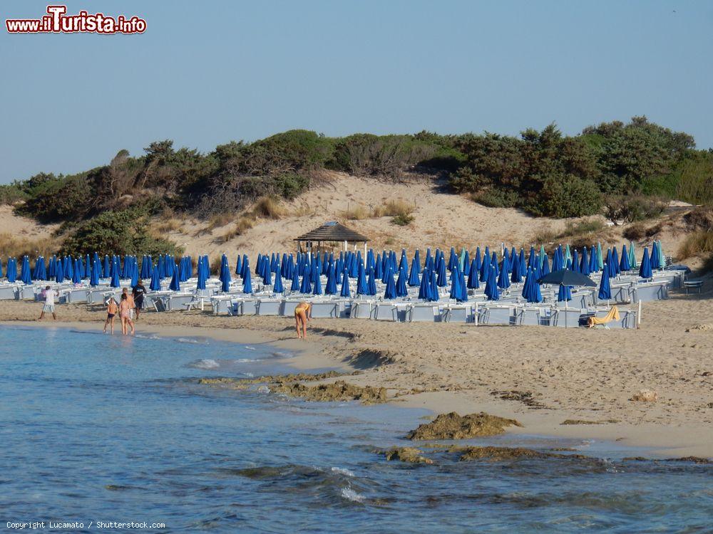 Immagine Una spiaggia attrezzata a Punta Prosciutto, uno dei lidi spettacolari del Salento in Puglia - © Lucamato / Shutterstock.com