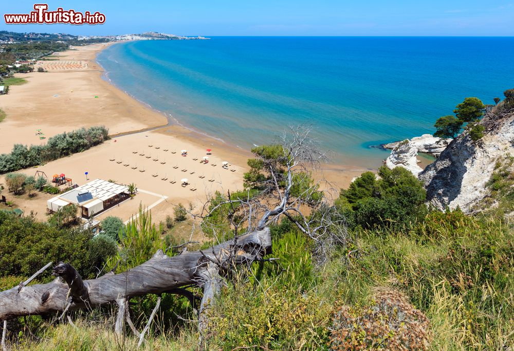 Immagine Una spiaggia del Gargano in Puglia, vicino a Vieste.