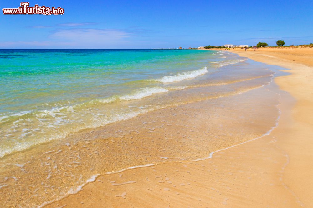 Immagine Una spiaggia della costa di Salve in Puglia, vicino alle famose "Maldive del Salento"