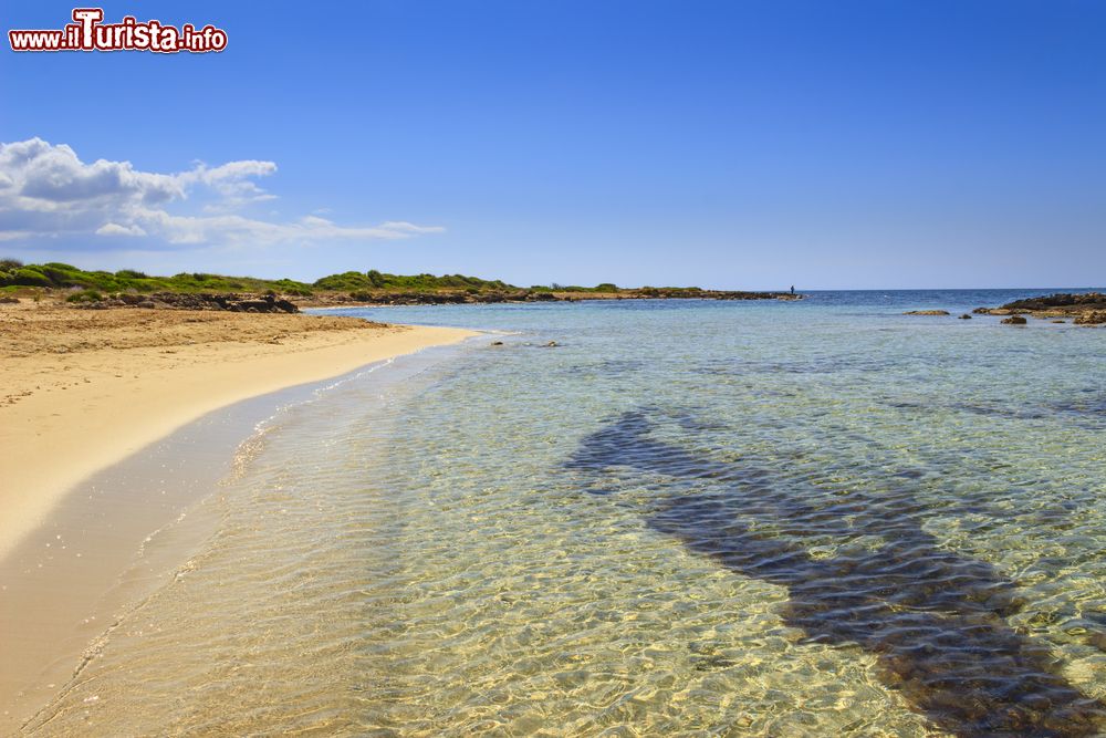 Immagine Una spiaggia della costa salentina a Torre Pali, provincia di Lecce, Puglia. Da Torre Pali a Pescoluse il litorale è caratterizzato da un mare così limpido e trasparente da far conoscere questa zona come "Maldive del Salento".