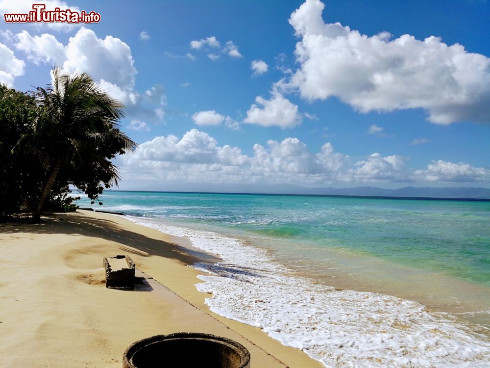 Immagine Una spiaggia della GrandeTerre vicino a Port Louise