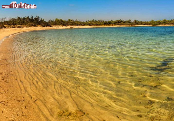 Immagine Una spiaggia della zona di Torre Santa Sabina, fotografata con la luce radente del mattino. Ci troviamo lungo la costa adriatica della Puglia