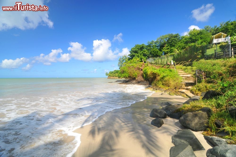 Immagine Una spiaggia deserta a Saint Lucia, nei pressi di Soufriere, Mar dei Caraibi.