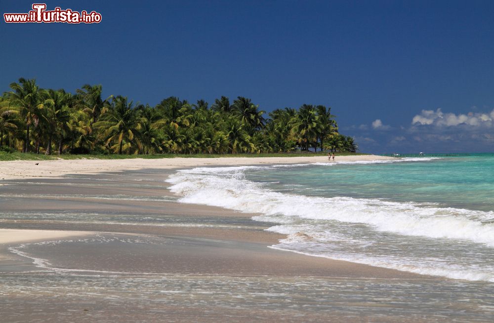 Immagine Una spiaggia deserta tropicale nei pressi della capitale Maceiò, stato di Alagoas, Brasile. Sullo sfondo, la ricca vegetazione formata da palme.