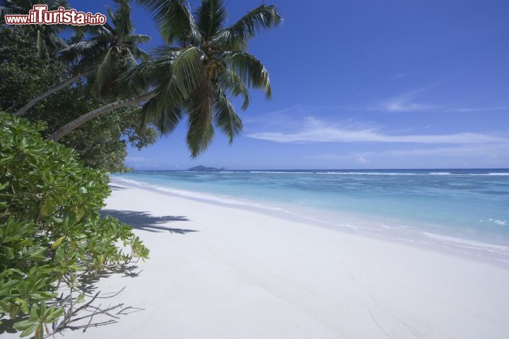 Immagine Una spiaggia di fine sabbia bianca sull'isola di Silhouette, Seychelles (Africa) - © fdimeo / Shutterstock.com