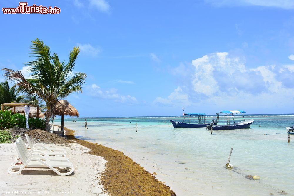 Immagine Una spiaggia di Mahahual, Messico: qua si trova uno dei mari più belli dei Caraibi per praticare snorkeling e fare immersioni - © mundosemfim / Shutterstock.com