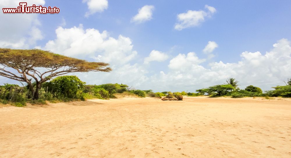 Immagine Una spiaggia di sabbia fine sull'isola di Manda, Kenya (Africa).