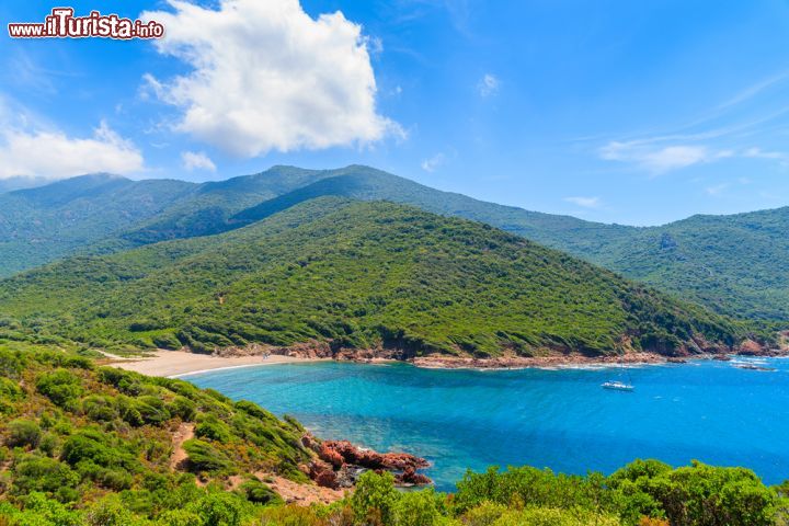 Immagine Una spiaggia non distante da Osani, sulla costa occidentale della Corsica