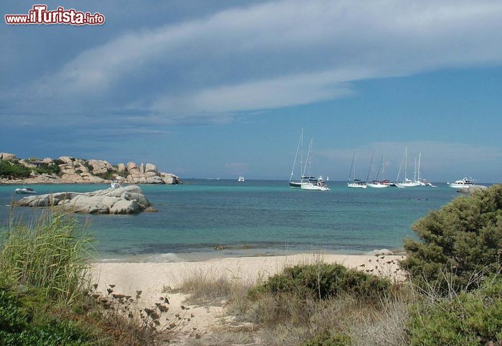 Immagine Una spiaggia sull'Isola di Cavallo in Corsica